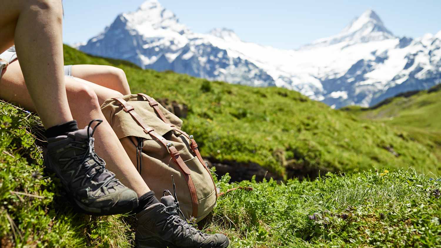 Grindelwald First Wetterhorn Schreckhorn Wandern Sommer
