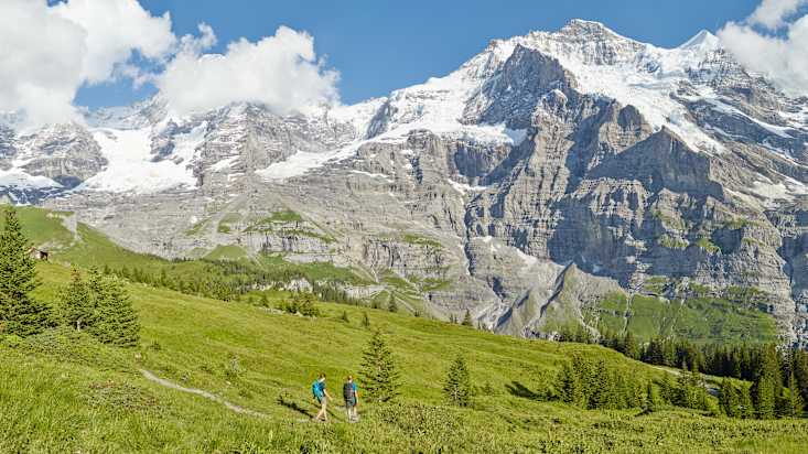Kleine Scheidegg Wandern Lauberhorn Trail Panorama Sommer