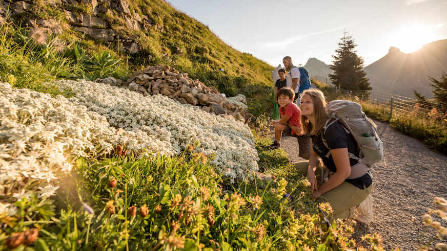 Berge, Eiger, Eiger-Mönch-Jungfrau, Erlebnisse-Aktivitaeten, Jungfrau, Mönch, Publikationen, Schynige-Platte, Screen-Content, Wandern, jungfrau.ch