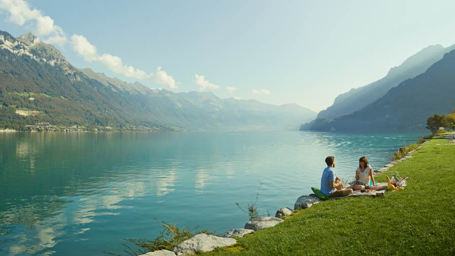 Brienzersee Picknick Seeufer Sommer
