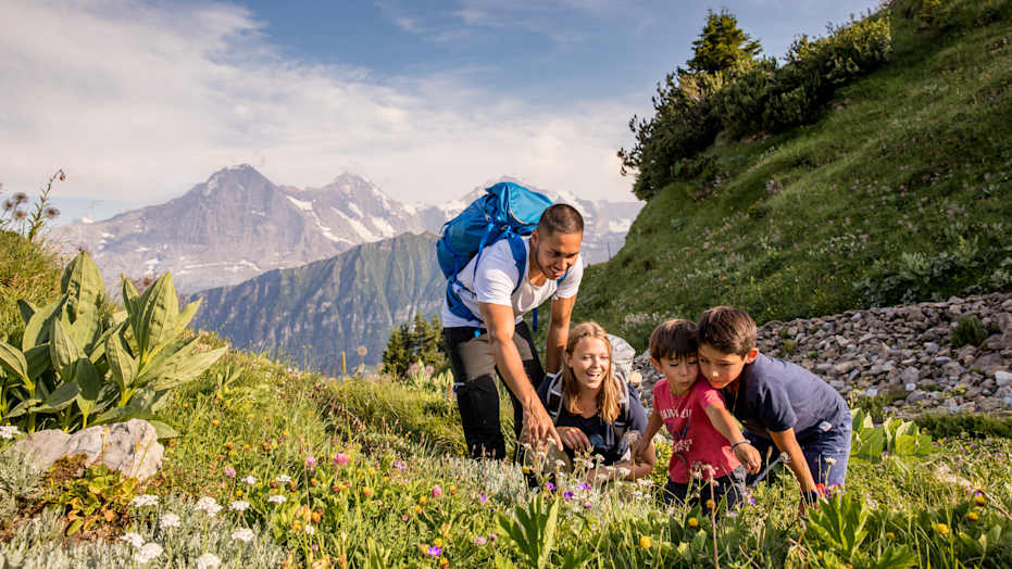Publikationen, Schynige-Platte, Screen-Content, jungfrau.ch
