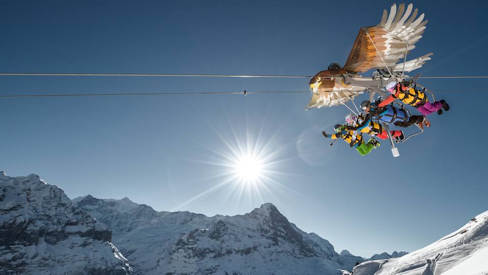 Bernese Oberland, experience activities, First-Glider, season, snow, Switzerland, Grindelwald-First ski area, ski resorts, Switzerland, winter, jungfrau.ch